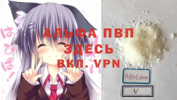 a pvp Абаза