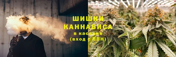 первитин Гусев