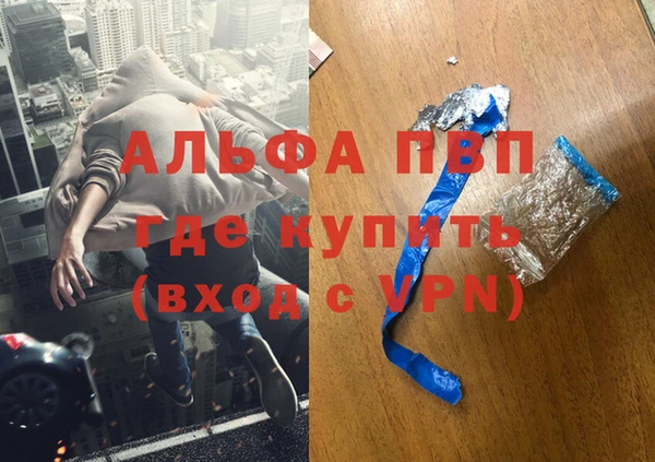 прущие грибы Абдулино